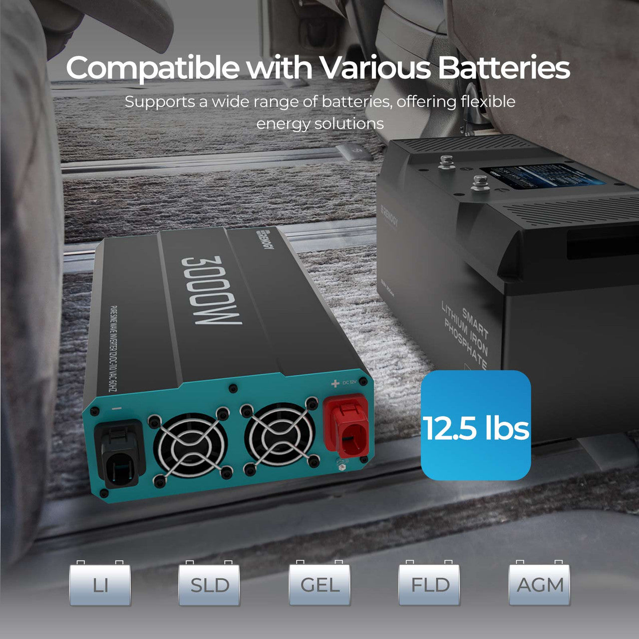 3000-Watt 12-Volt Pure Sine Wave Inverter